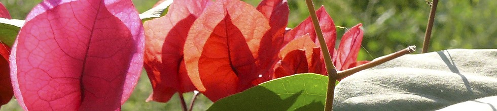 Sehen und Bewegen